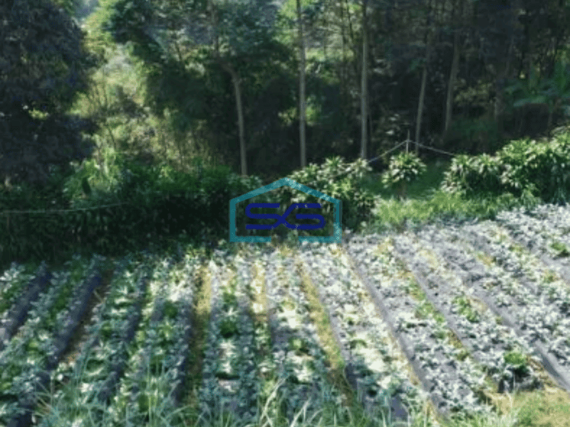 Dijual Tanah Di Lembang Sersan Bajuri Kavling Dekat Villa Lagenta