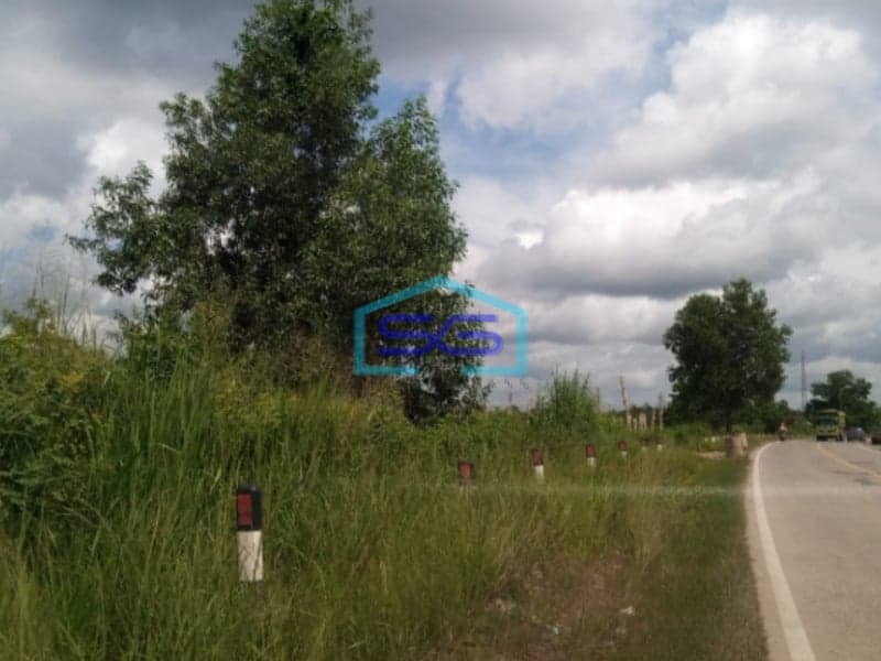 Dijual Tanah 13 Ha Pinggir Jalan Tanjung Api Api Talang Kelapa Gasing Banyuasin Sumatera Selatan