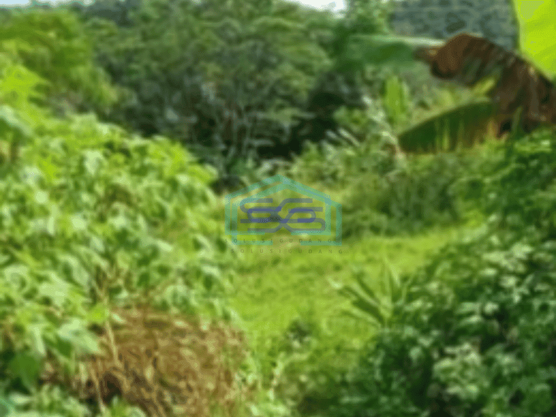 Dijual Tanah di Cibeber Jawa Barat Luas 19300m²