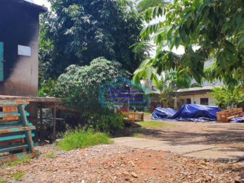 Dijual Tanah siap bangun di Daerah Citeureup Kabupaten Bogor Luas Tanah  57554 m²