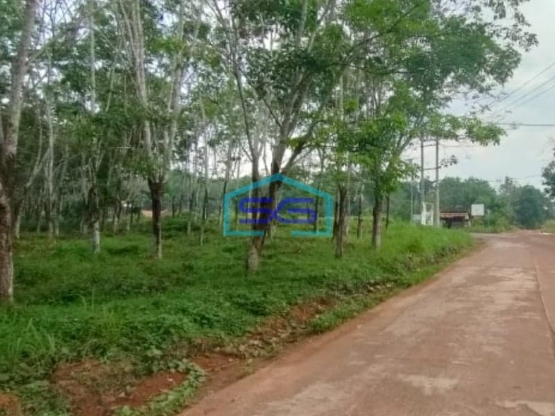 Dijual Lahan Tanah di Jalan Padat Karya Talang Buluh Palembang Luas 48000m2