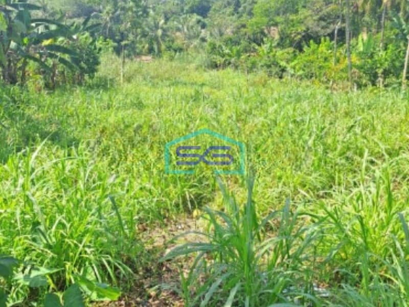 Dijual Tanah Di Rumpin Bogor Jawa Barat Luas 1400m2