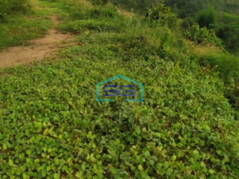 Dijual Tanah Kavling Luas 5891m2 di Jonggol Bogor Jawa Barat