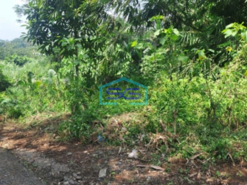 Dijual Tanah di Sukasari Rumpin Bogor SHM Luas 1200m2