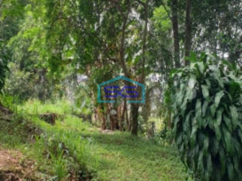 Dijual Tanah di Jalan Rancamaya Bogor Ciawi SHM Luas Tanah 15000m2