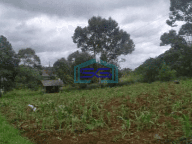 Dijual Tanah Luas Cocok Untuk Gudang di Pinggir Tol Bocimi Sukabumi