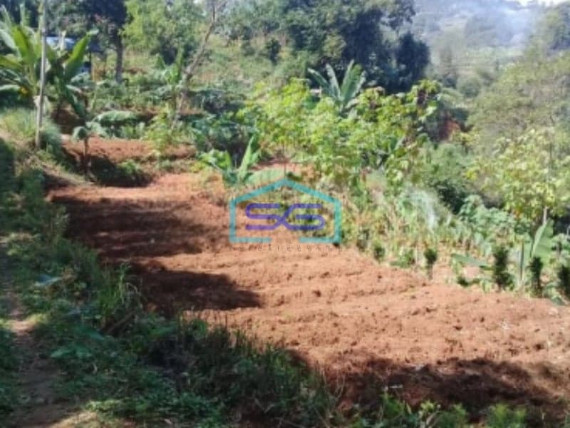 Dijual Tanah Desa Cijulang Bendungan Cipayung Bogor LT 10000m2