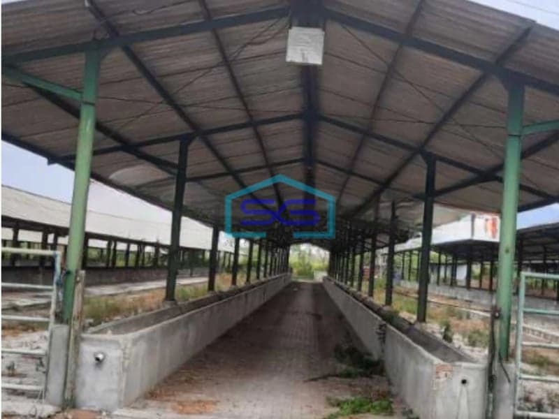 Dijual Tanah Kandang/Ternak Sapi di Desa Windurejo, Kutorejo, Mojokerto Luas Tanah  32000 m²