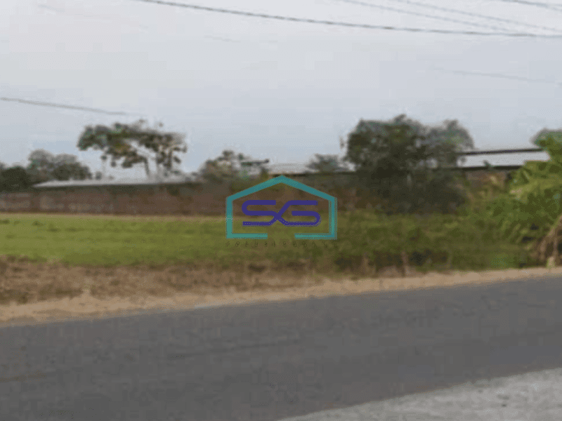 Dijual tanah lahan strategis lokasi Juwiring Klaten luas 17.000m2