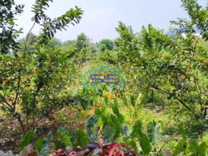 Dijual Tanah di Ciapus Taman Sari Bogor Luas Tanah 100000m2