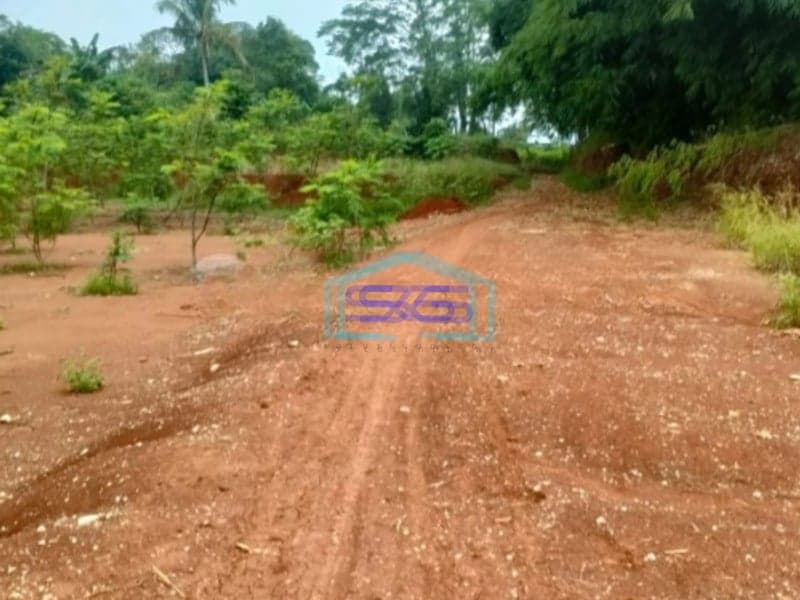 Dijual Tanah di Ciseeng Bogor Jawa Barat Luas 100000m2