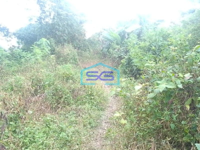 Dijual Tanah Siap Bangun di Sei Selincah Palembang Luas Tanah 24224m2