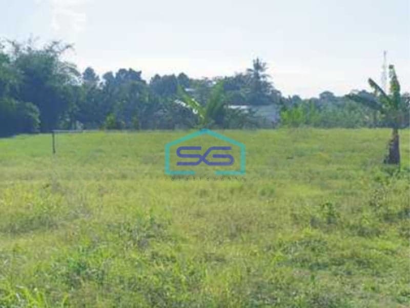 Dijual Tanah Luas 9765 m²  Lokasi Gunung Sindur Bogor