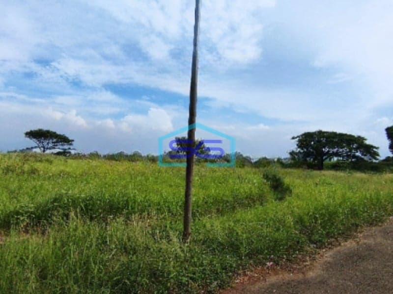 Dijual Tanah Diarea Industri Dawuan Cikampek Luas Tanah  230000 m²