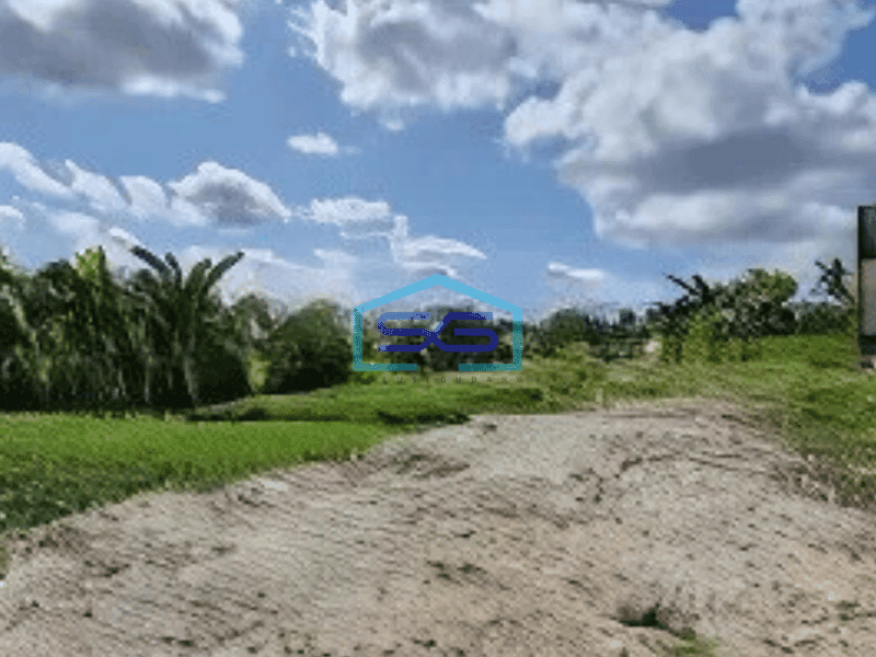 Dijual Tanah di Canggu Badung Bali