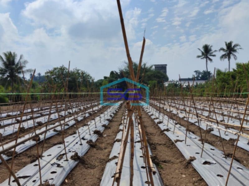 Dijual Tanah Lokasi Strategis Soak Permai Noerdin Pandji Palembang Luas 4510m2