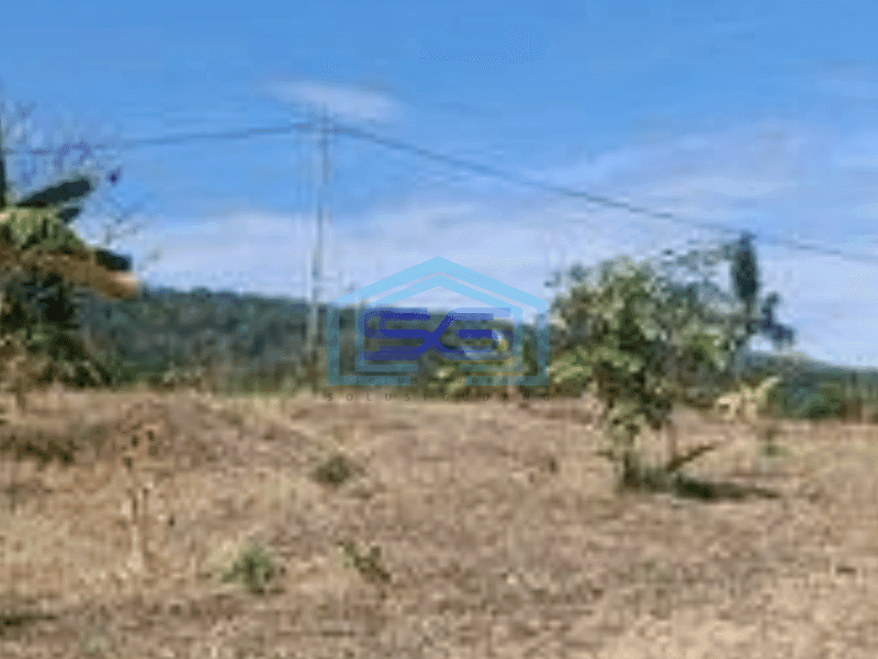 Dijual Tanah lokasi bagus area Pantai Lovina, Bali