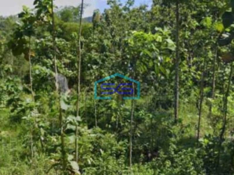 Dijual Tanah Pekarangan Lokasi Pengasih Yogyakarta Luas Tanah 50000m2