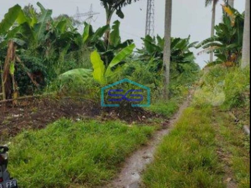 Dijual Tanah di Jampang Kec Kemang Bogor Seluas 12.5 Hektar Dipinggir Jalan Raya Ismed