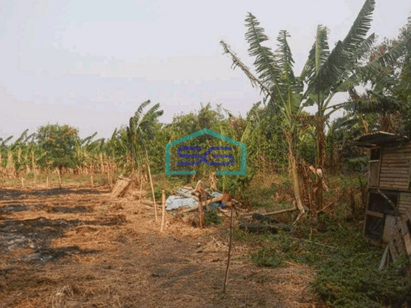 Dijual Tanah Kavling Di Pinggir Jalan Raya, Cengkareng Jakarta Barat LT 16600m2