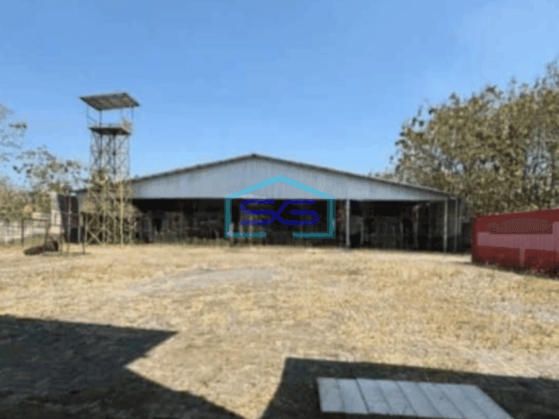 Dijual Gudang Luas 11.000m² di Sragen Akses Kontainer & Cocok untuk Berbagai Industri