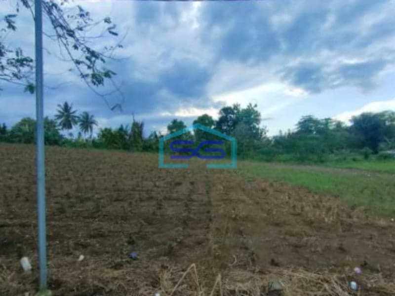 DIjual Tanah Di Malalayang Dekat Ring Road 3 Manado Luas Tanah (PxL)  20000 m²