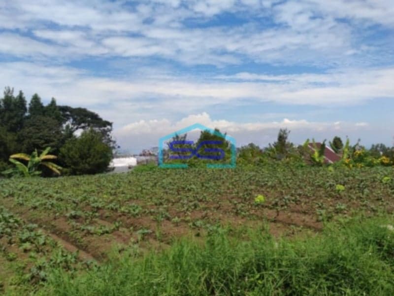 Dijual Tanah Kavling Bagus dan Harga Termurah di Setiabudi Regency Bandung LT 1980m2