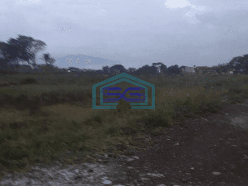 Dijual Tanah Sawah Bisa Untuk Gudang di Desa Jelegong Rancaekek