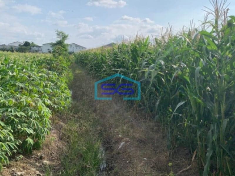 Dijual Tanah Zona Kuning Lokasi Colomadu Karanganyar Jawa Tengah Luas Tanah 3500m2