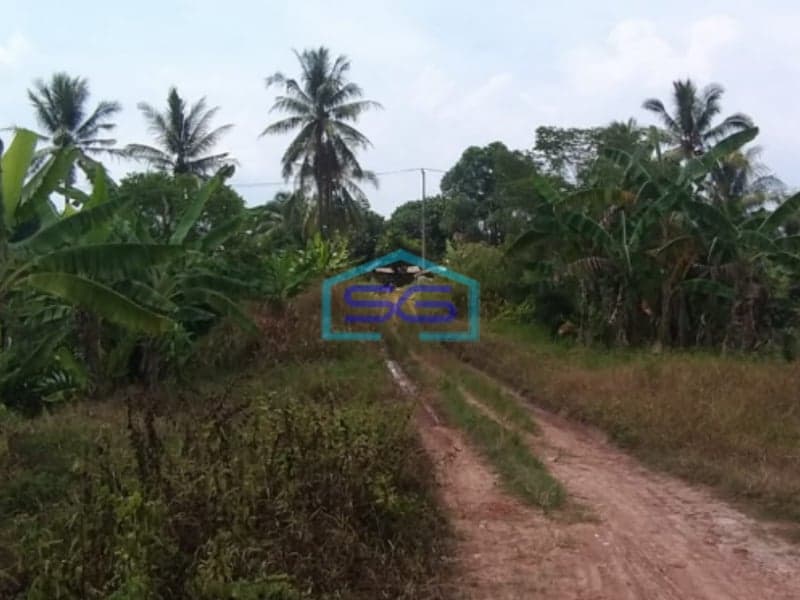 Dijual Tanah di Talang Betutu Kota Palembang Luas 8500m2