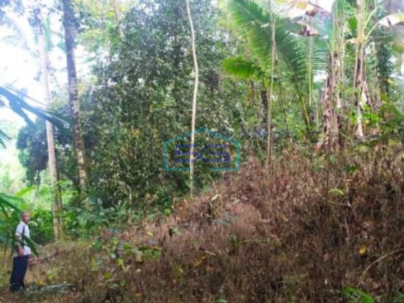 Tanah Dekat Jalan Utama Penebel Tabanan Bali Siap Bangun 7800m2