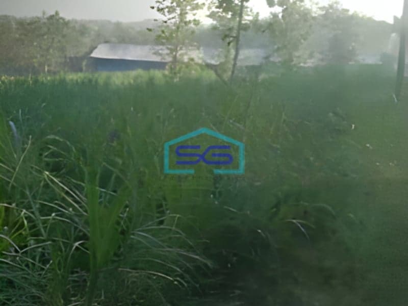 Dijual Lahan Zona Kuning Luas Tanah 40000m2 Lokasi Sukodono Sragen Jawa Tengah