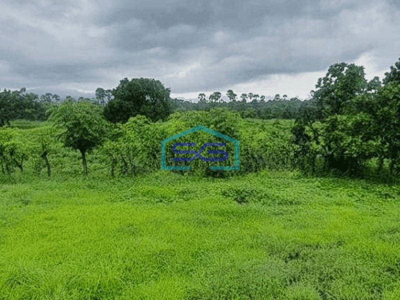 Dijual Sampai Deal! Tanah di Karang Asem, Tulamben Bali LT 29887m2