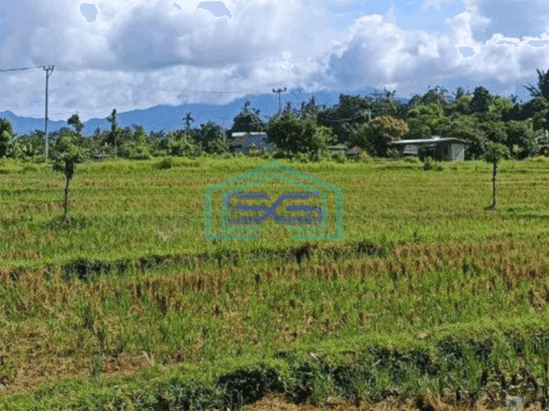 Dijual Tanah A Yani Raya Mataram Sikur Narmada Lombok Barat Ntb