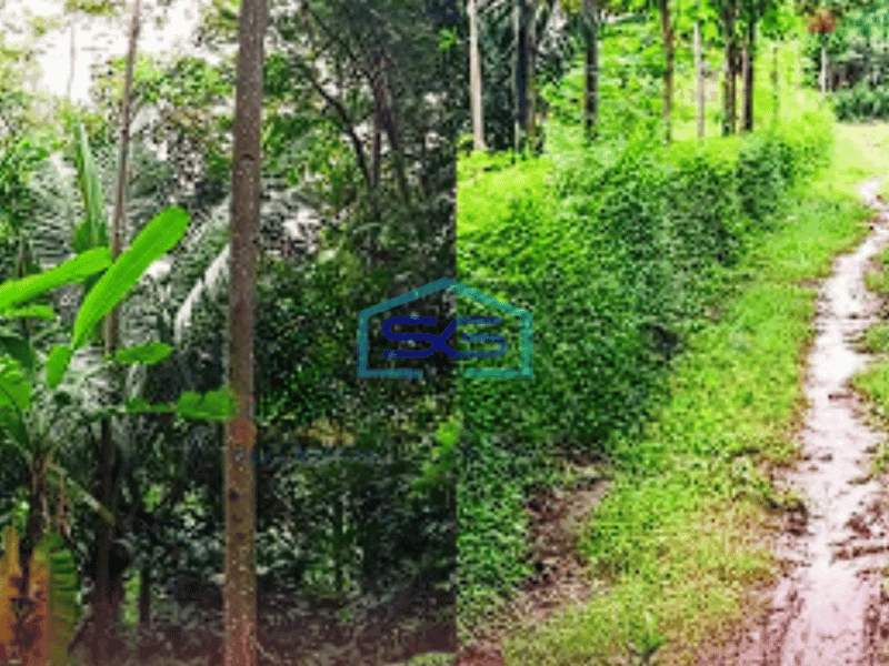 Dijual Tanah di Jombang Jawa Timur Luas 10130m2