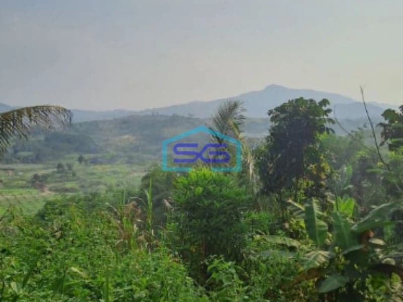 Dijual Tanah Desa Pabuaran Perbatasan Citereup Sukamakmur Bogor LT 10000m2