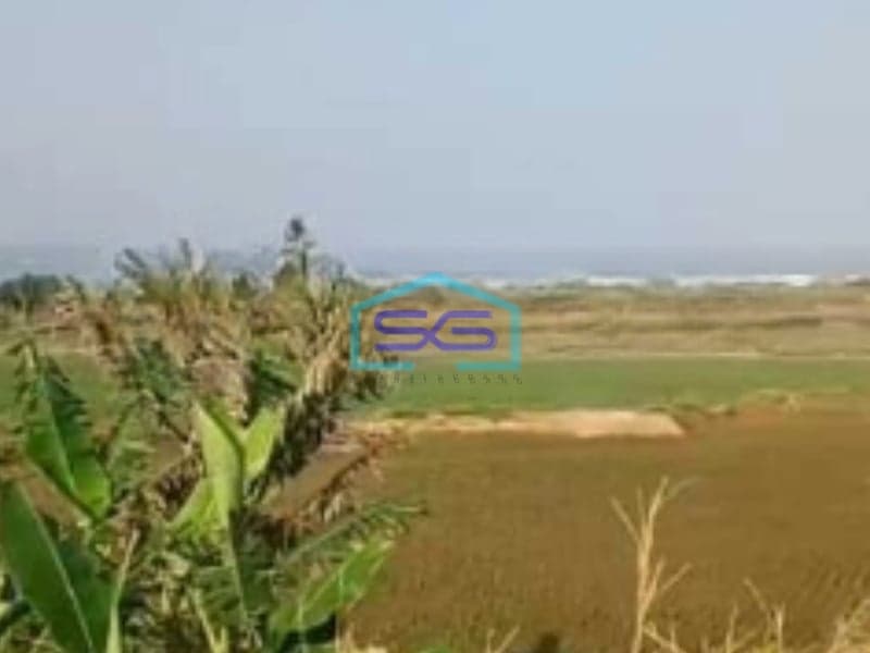 Dijual Tanah Strategis di Puncak Guha Garut Selatan Luas Tanah  50000 m²