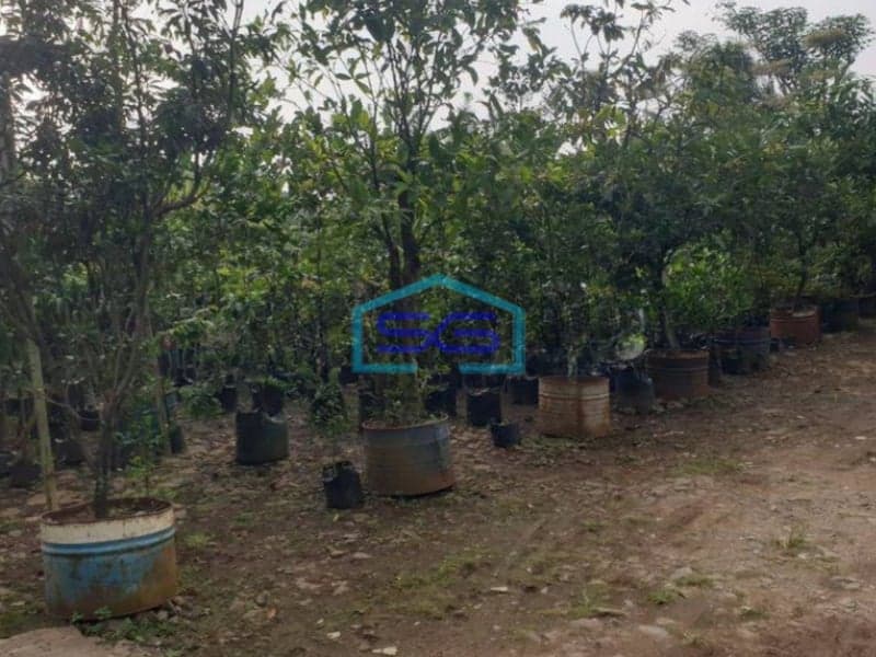 Dijual Tanah Luas 2 Ha Surat SHM di Curug Gunung Sindur Bogor Lokasi Strategis Dipinggir Jalan