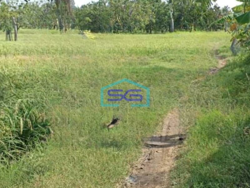 Dijual Tanah Murah Luas 32000 m² Lokasi Karawang Jawa Barat