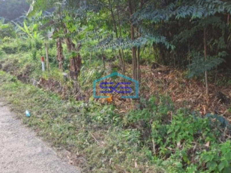 Dijual Tanah Suka Yaya Jonggol Bogor Luas Tanah 170000m2