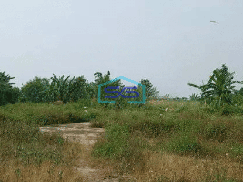 Dijual Cepat!! Tanah Legok Tangerang Lt 8 Hektar