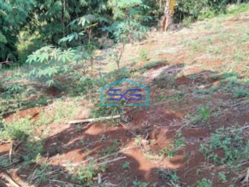 Dijual Tanah Bebas Banjir Luas 1700m2 di Lokasi Dago Bandung