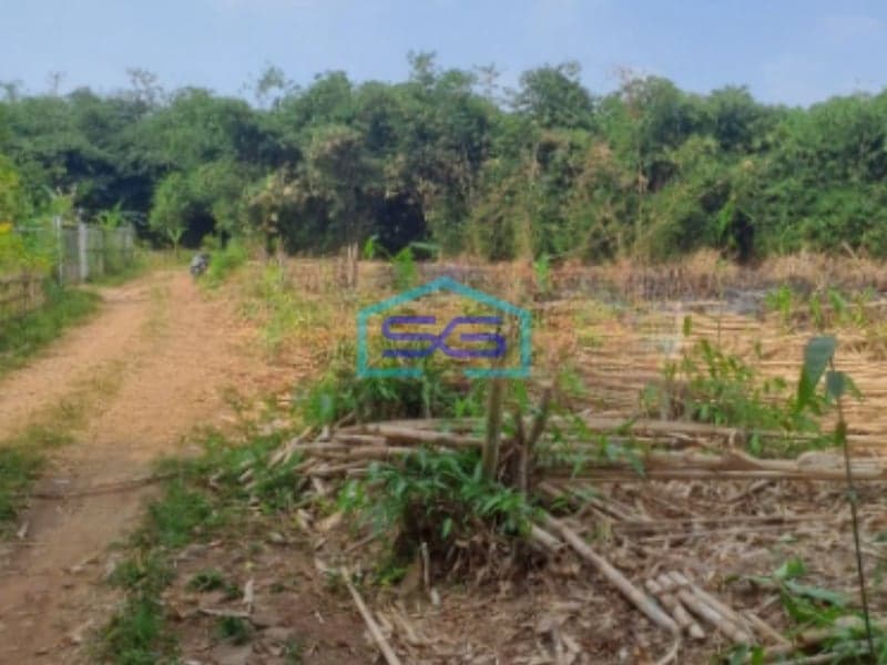 Dijual Tanah di Cibodas Rumpin Bogor Luas Tanah 2450m2