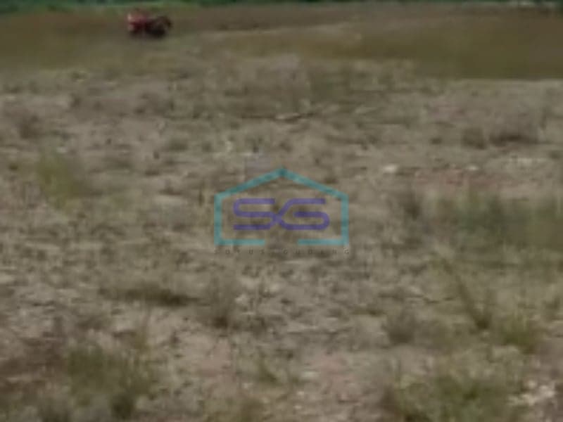 中爪哇三宝垄工业区无洪水仓库出租