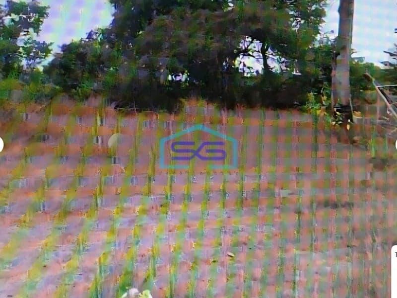 Dijual Tanah Di Kecamatan Bunga Gresik LT 1160530m2