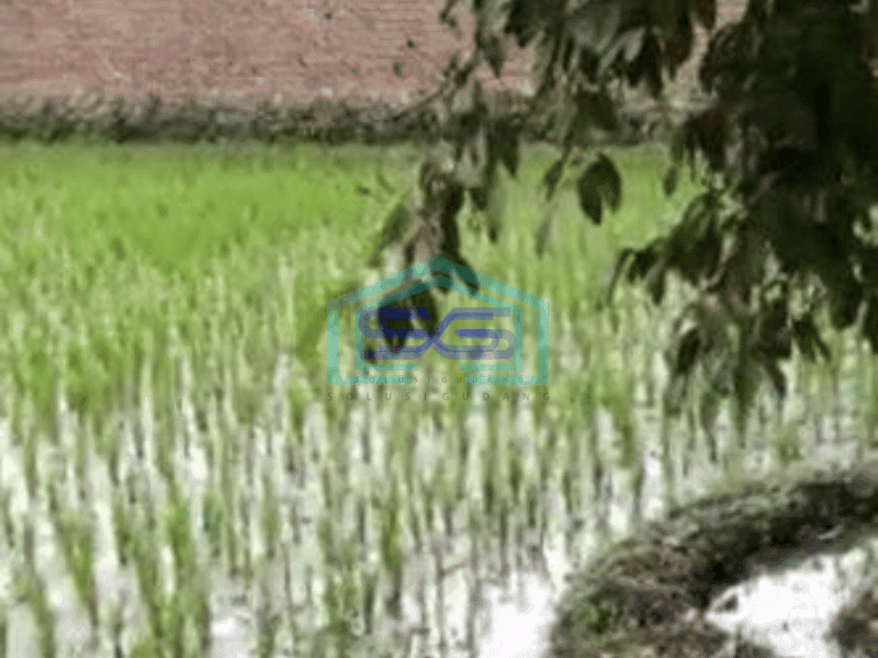 Dijual Tanah Cocok Untuk Gudang di Derwati Bandung