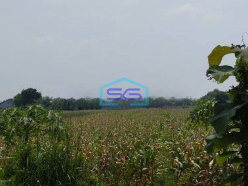 Dijual Cepat Tanah Zona Industri Lokasi Ceper Klaten Luas 4,5 Ha