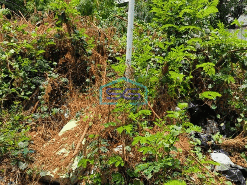 Dijual Tanah Premium Senen Raya Jakarta Pusat Luas 4241m2