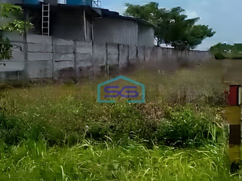 Dijual Tanah Property di Jalan Provinsi Tuban Widang Jawa Timur Luas 40000m2