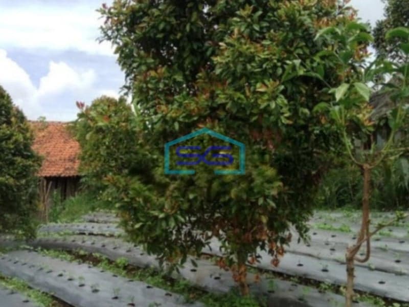 Dijual Tanah di Cisarua Bandung Barat Luas Tanah 4500m2